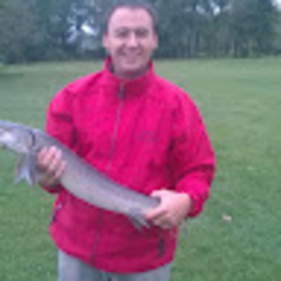 Meet your Posher, Ivan - Picture 1 of 1